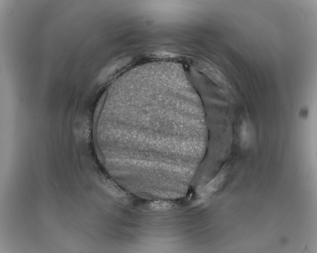 X0000091290762200709071032