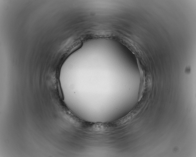 X0000091290764200709071032