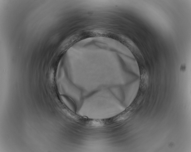 X0000091290765200709071032