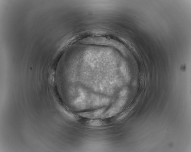 X0000091290766200709071032