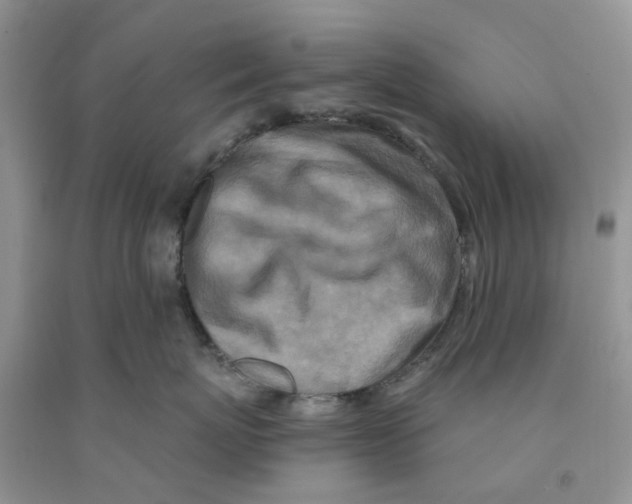 X0000091290767200709071032