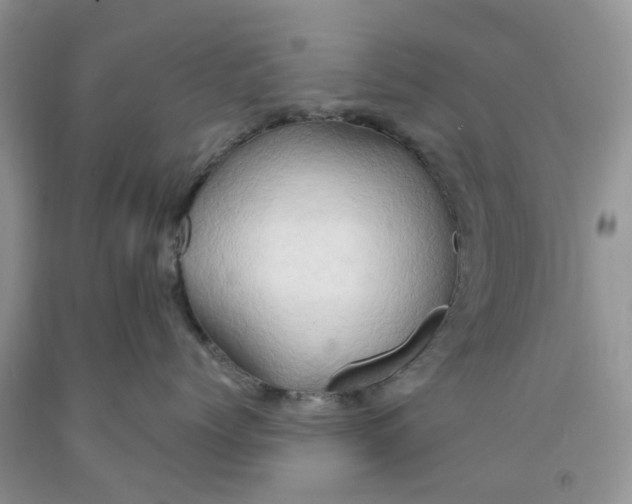 X0000091290768200709071032