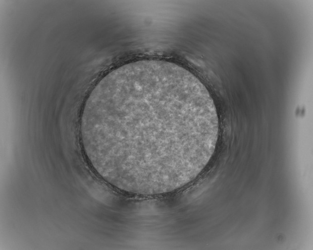 X0000091290769200709071031