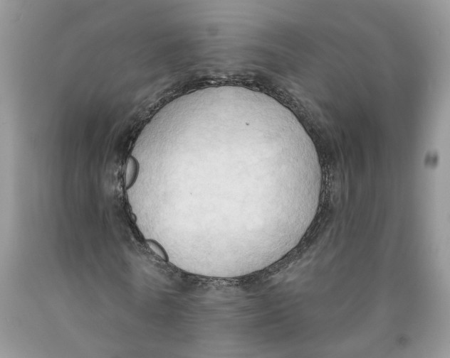 X0000091290770200709071031