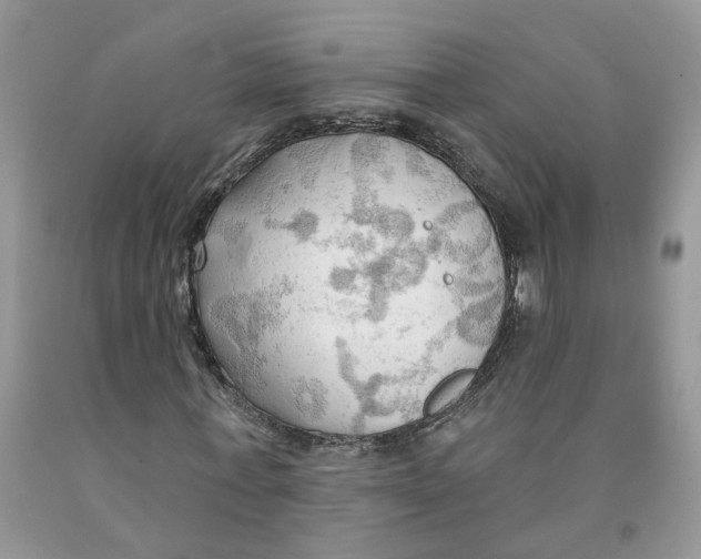 X0000091290771200709071031