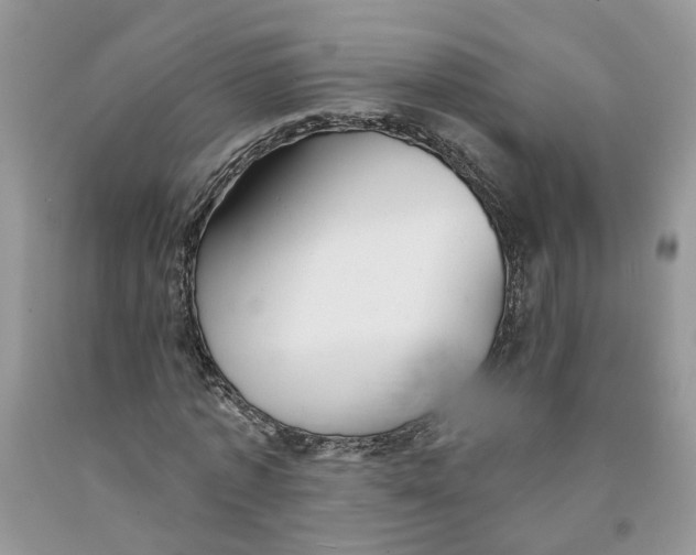 X0000091290773200709071031