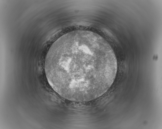 X0000091290774200709071031