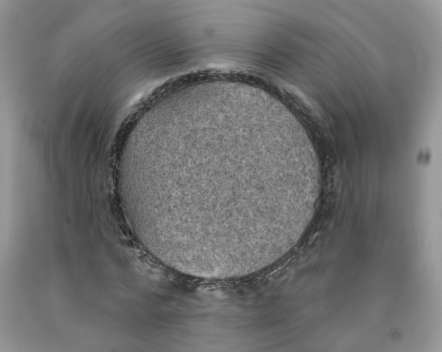 X0000091290776200709071031