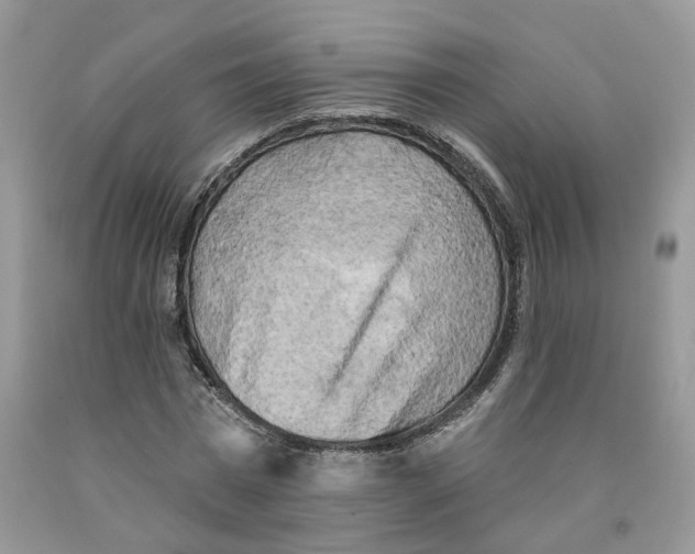 X0000091290777200709071031