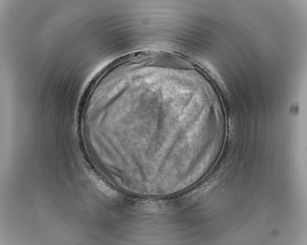 X0000091290780200709071031