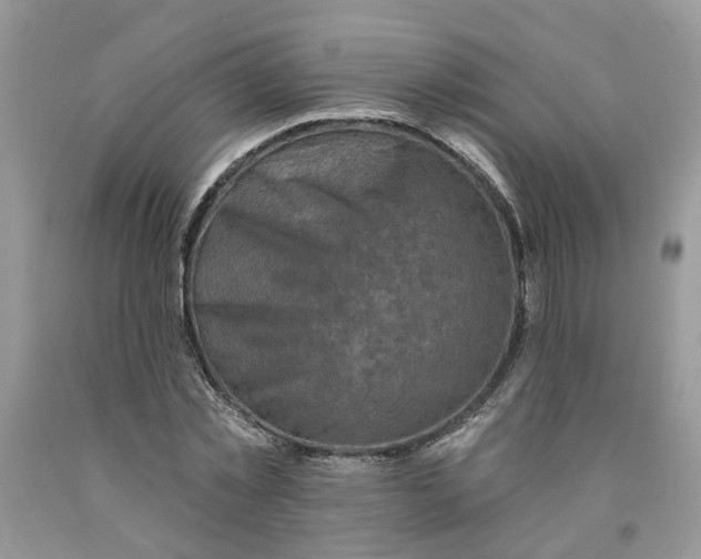 X0000091290781200709071031