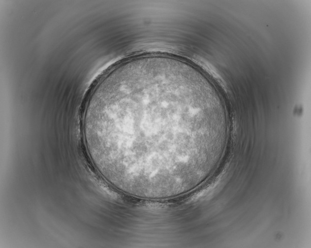 X0000091290782200709071031