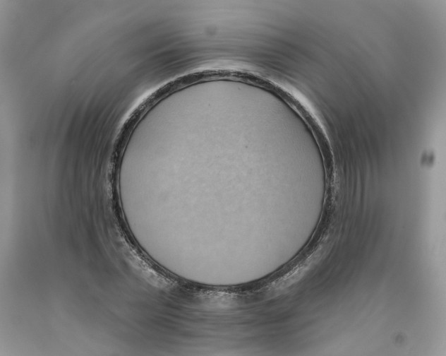 X0000091290783200709071031