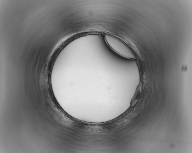 X0000091290784200709071031