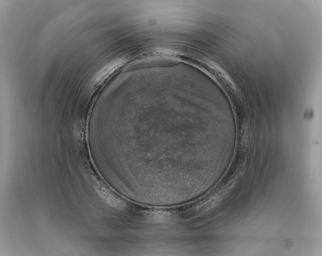 X0000091290785200709071031