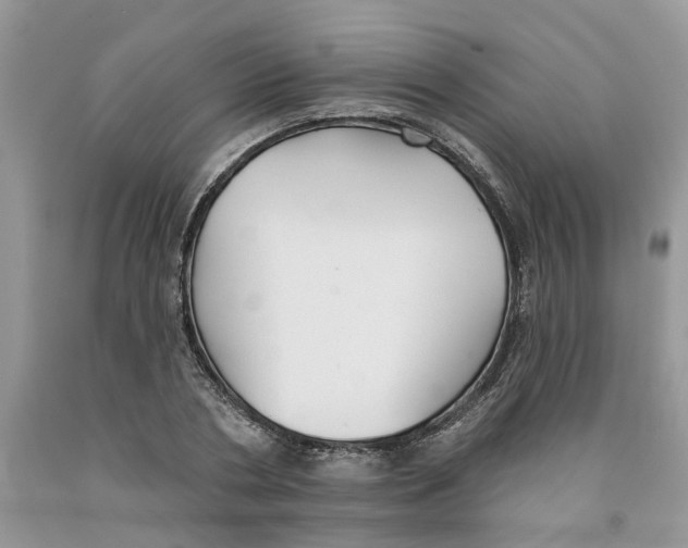 X0000091290786200709071031