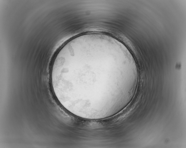 X0000091290787200709071031