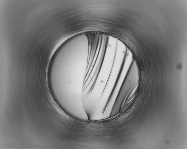 X0000091290788200709071031