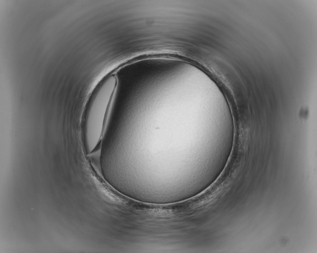 X0000091290789200709071031