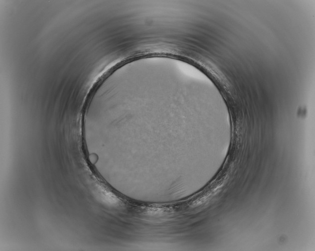 X0000091290790200709071031