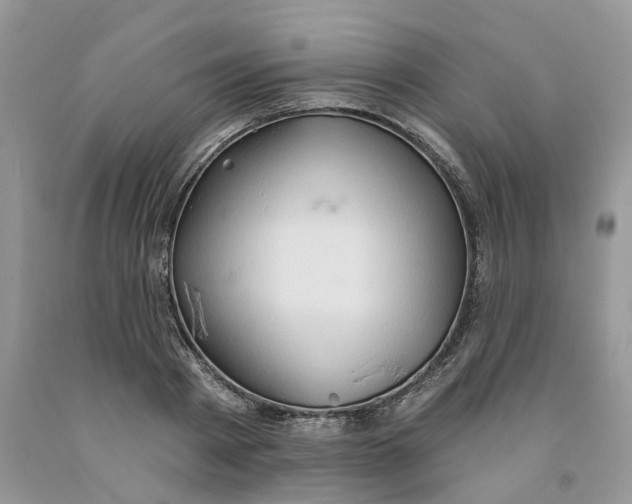 X0000091290793200709071031