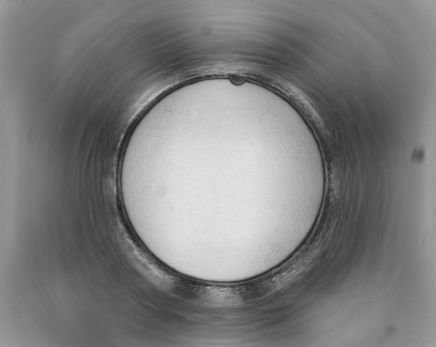 X0000091290794200709071031