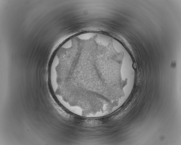 X0000091290795200709071031