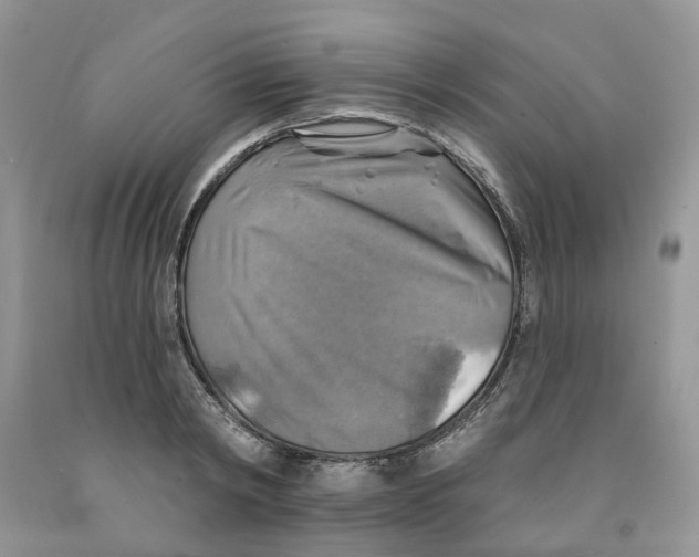 X0000091290798200709071031