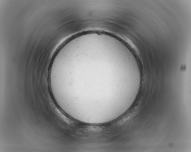 X0000091290799200709071031