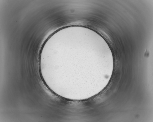 X0000091290800200709071031