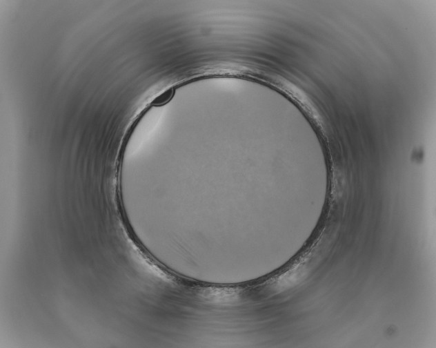 X0000091290802200709071031