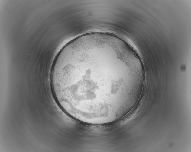 X0000091290803200709071031