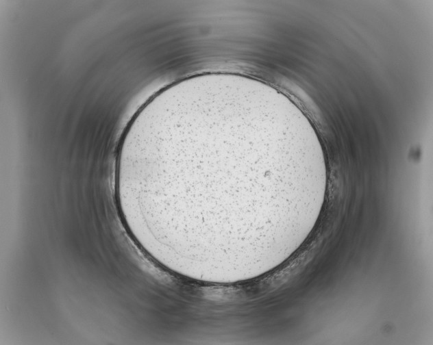 X0000091290804200709071031