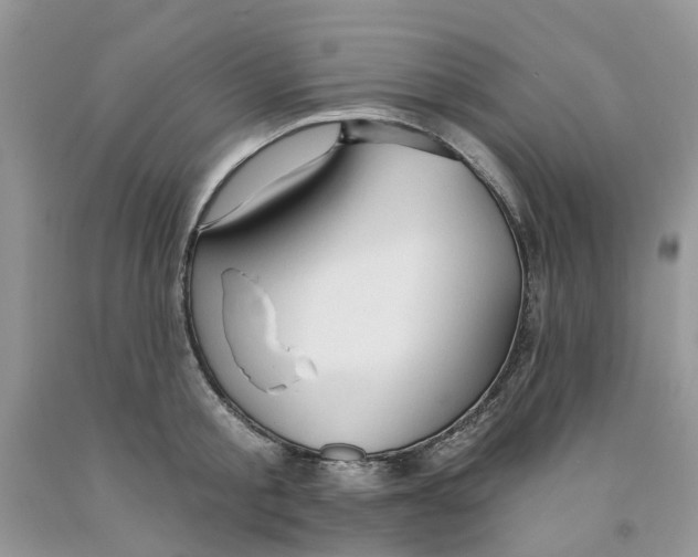 X0000091290805200709071031