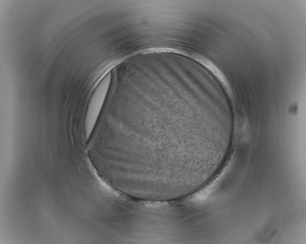 X0000091290809200709071031