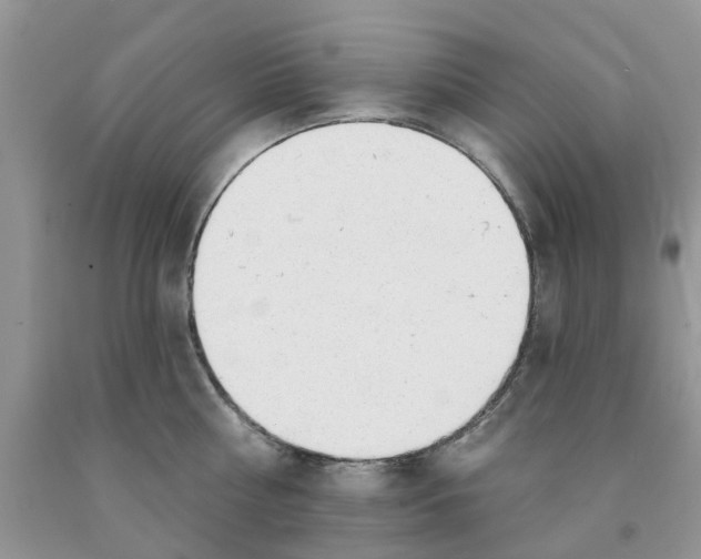 X0000091290810200709071031