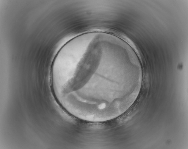 X0000091290811200709071031