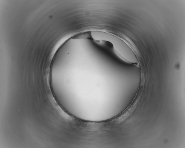 X0000091290812200709071031