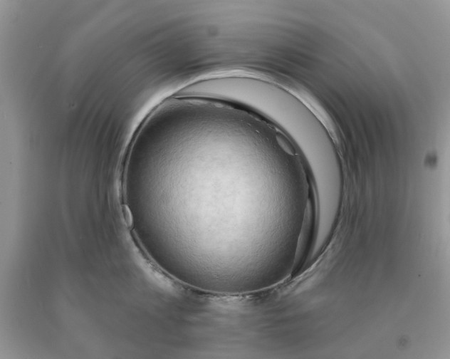 X0000091290813200709071031