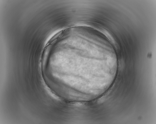 X0000091290814200709071031