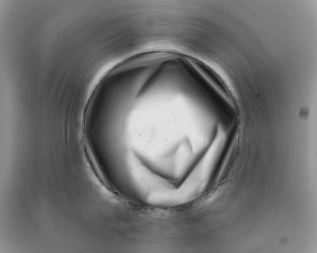 X0000091290815200709071031