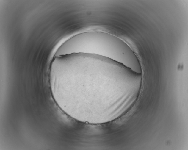 X0000091290816200709071031