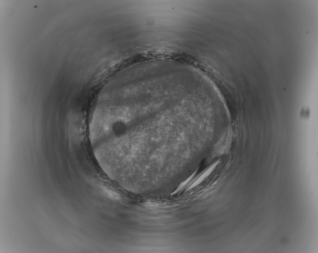 X0000091290818200709071030