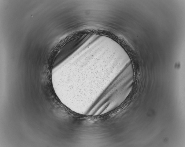 X0000091290822200709071030