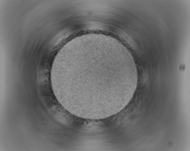 X0000091290824200709071030