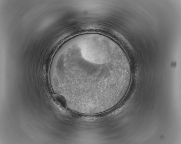 X0000091290825200709071030