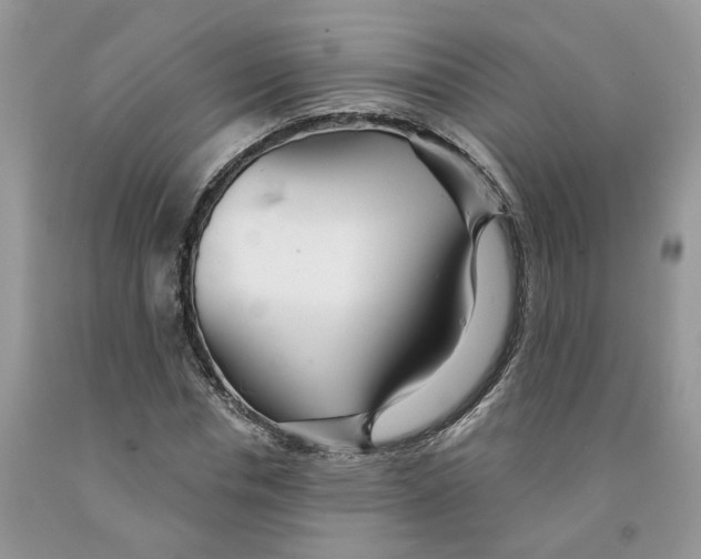 X0000091290826200709071030