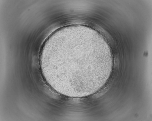 X0000091290828200709071030