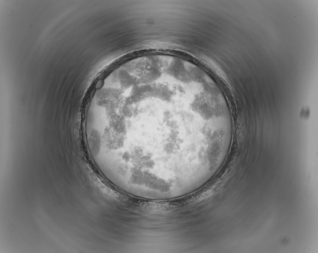 X0000091290831200709071030