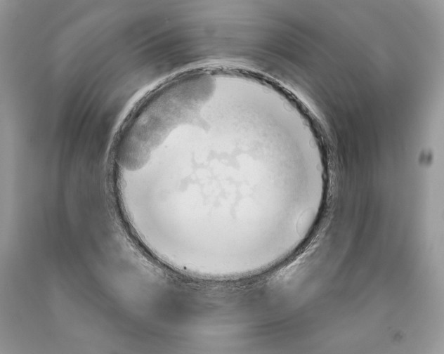 X0000091290832200709071030